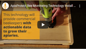 ApisProtect Bee Monitoring Equipment