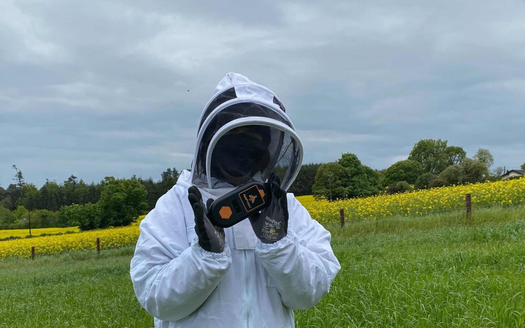 “One firm also at the forefront of the honey bee industry is Irish business ApisProtect.” BBC News Article